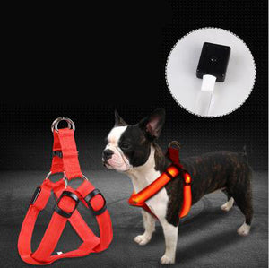 Pet Products LED Luminous Dog Chest Strap Large